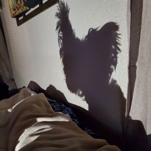 Meet your Posher, Ron